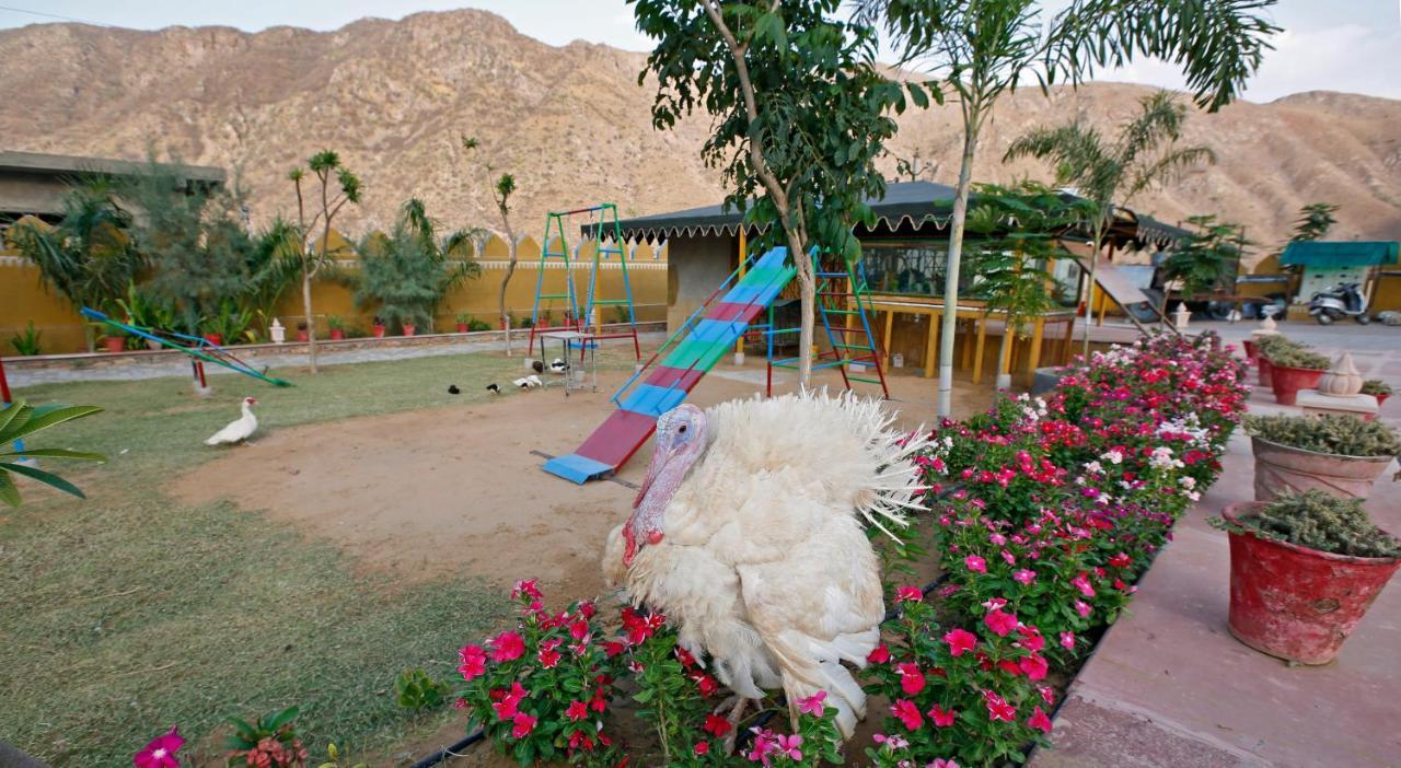 Serene Aravali Resort, Pushkar Eksteriør billede